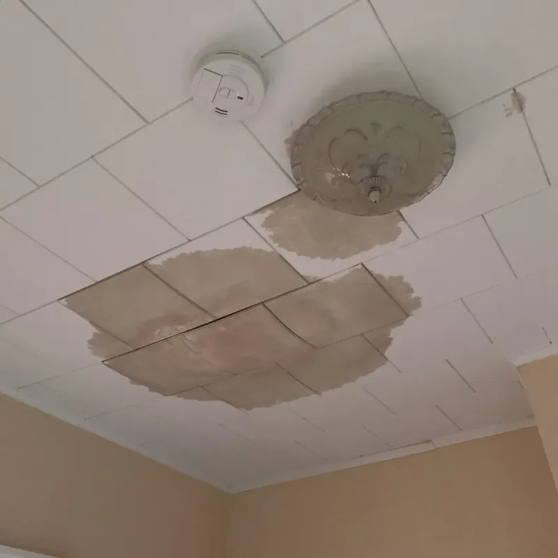 Ceiling Water Damage Repair in Dawsonville, GA