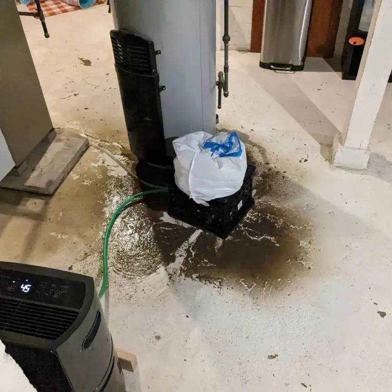 Sewage Backup Cleanup Service in Dawsonville, GA
